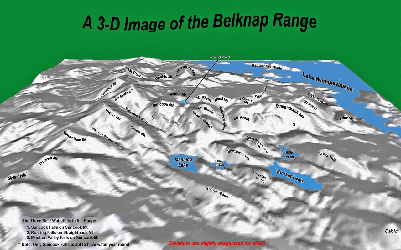 3D Image